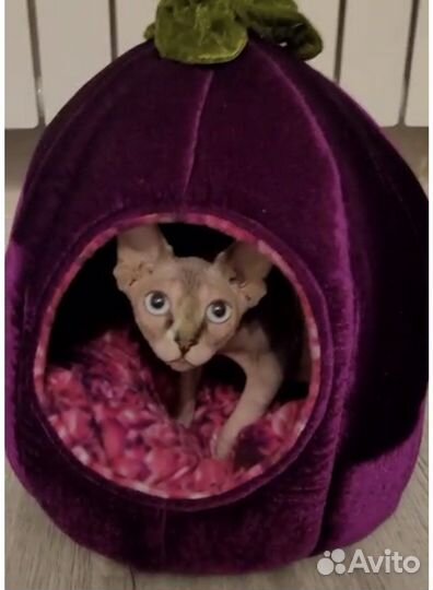 Лежанки новые 35х40см