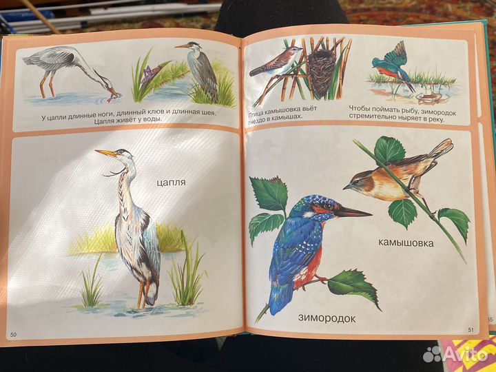 Твоя первая энциклопедия животные