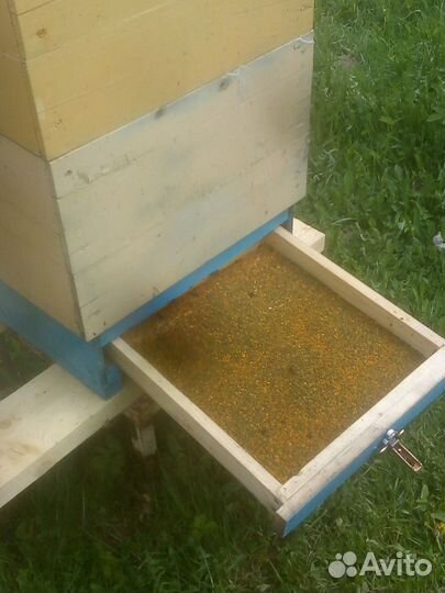 Пчелы и улья