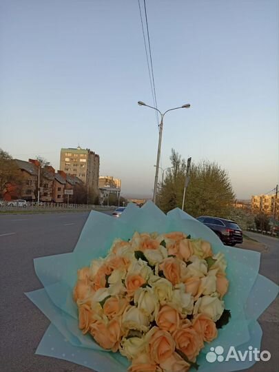 51 роза 40 см