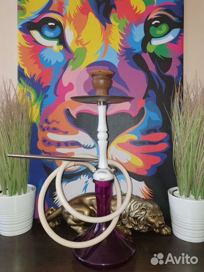 Аренда кaльяна на сутки