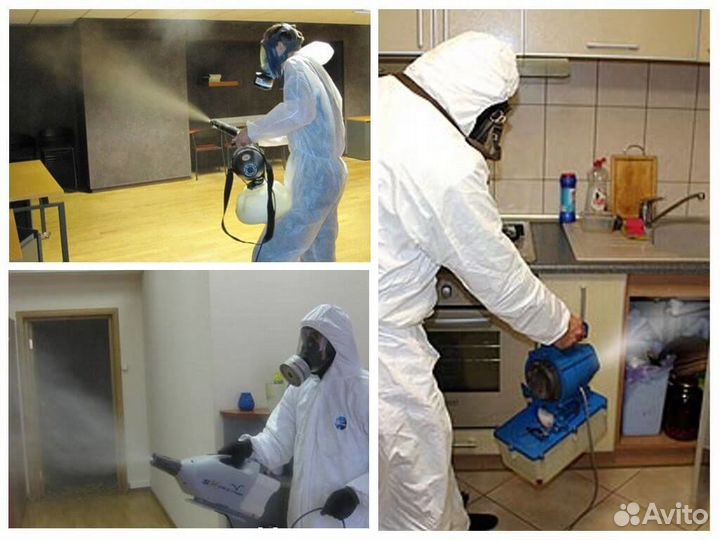 Уничтожение клопов тараканов блох клещей муравьев