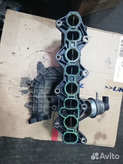 Коллектор впускной Chevrolet Captiva 2.2 Z22D1