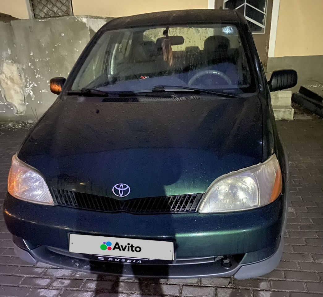 Toyota Echo: фото владельца