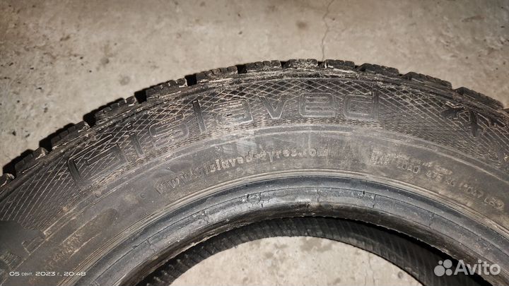 Gislaved Nord Frost V 175/65 R14