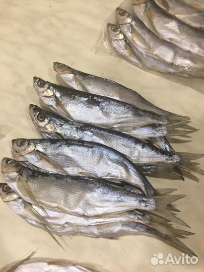 Чехонь сушенная