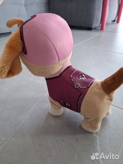 Собака Скай