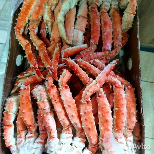 Клешни камчатского краба
