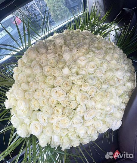 Розы белые доставка