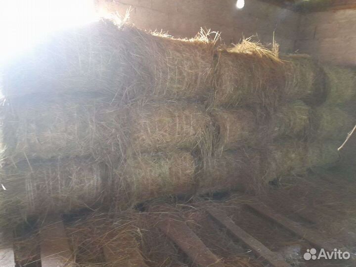 Сено разнотравье