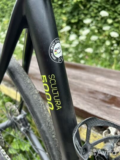 Merida scultura 5000