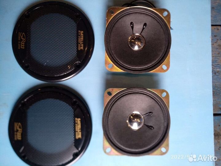 Автомобильные динамики с сеткой