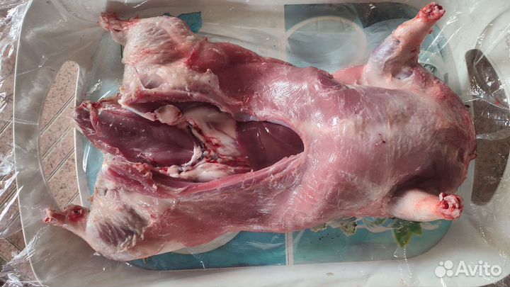 Продам мясо кролика и нутрии