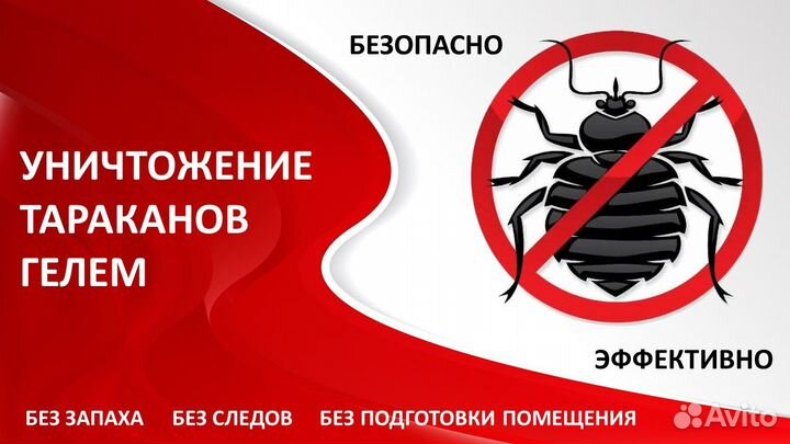 Уничтожение тараканов гелем