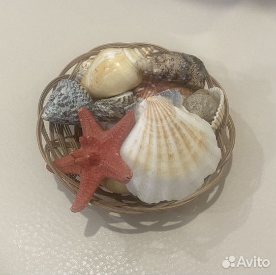 Ракушки и морская звезда в корзиночке