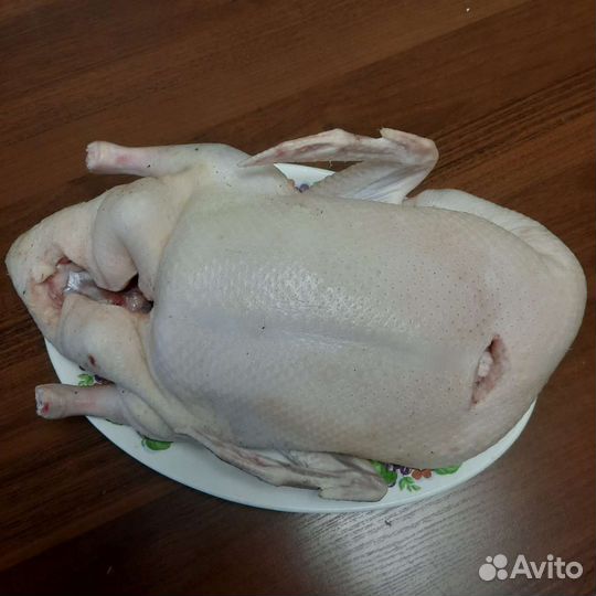 Утка домашняя мясо