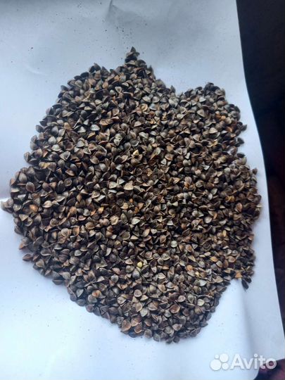 Гречиха 6 тон