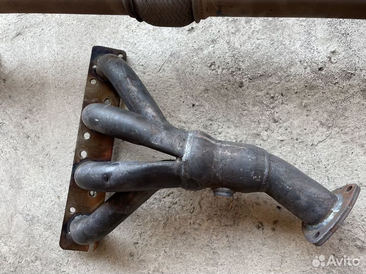 Паук приора