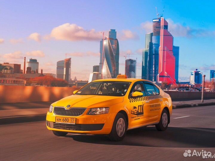 Путевые листы