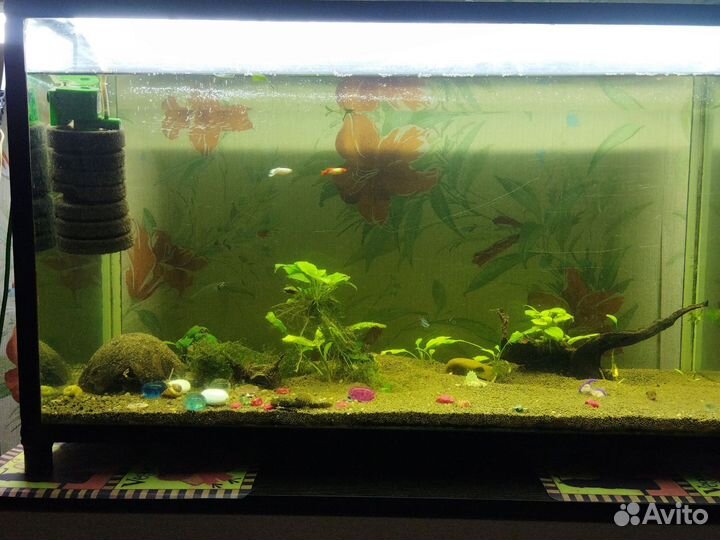Аквариум
