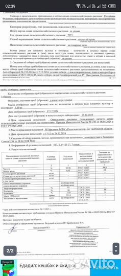 Семена кукурузы 