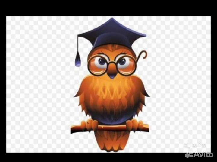 Помощь студентам