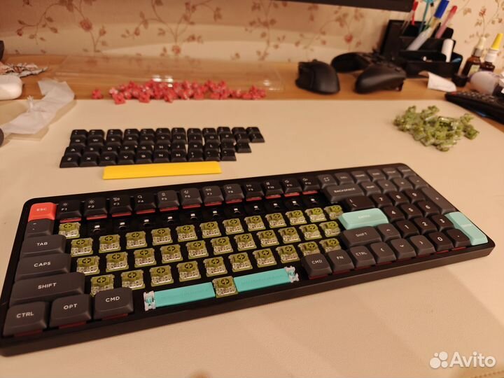 Свитчи nyphy cowberry