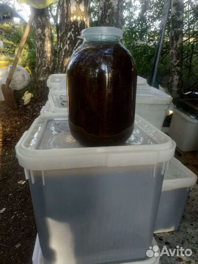 Мед со своей кочевой пасеки