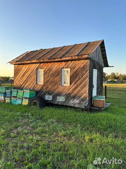 Дом для ульев и пчел
