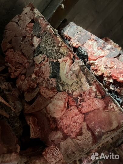 Говяжьи обрези для собак