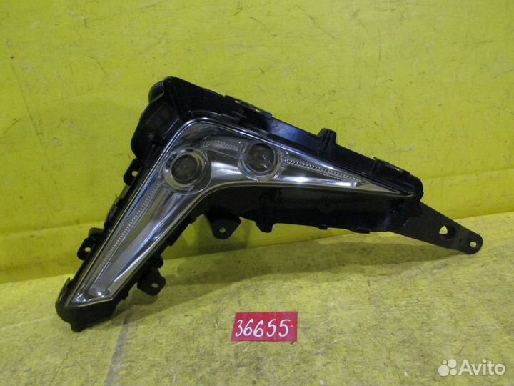 Птф правая Lexus LX 15-20г 36655