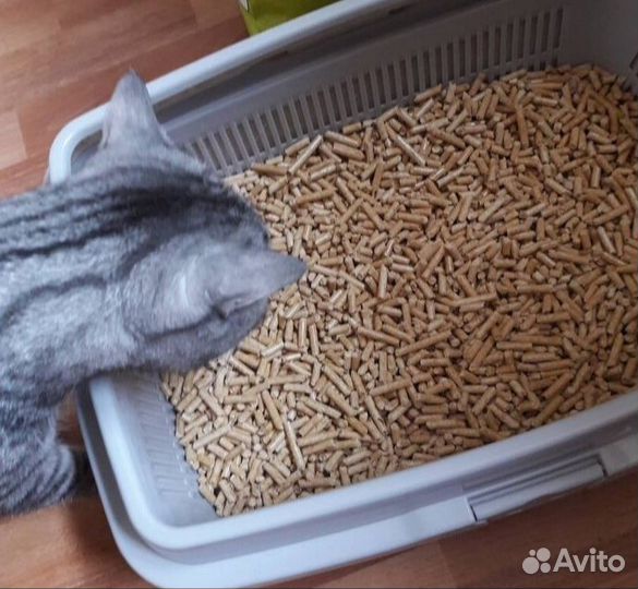 Наполнитель для кошачьего туалета и грызунов
