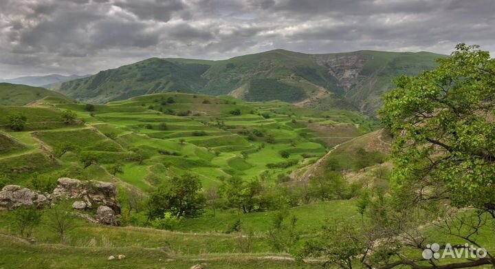 Путешествие в Дагестан от 7 дней