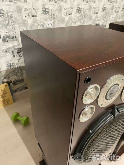 Акустические колонки Aurex SS-810