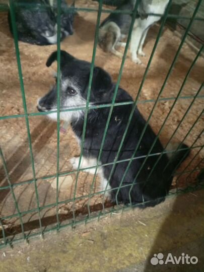 Так выглядит предательство, человек как ты спишь