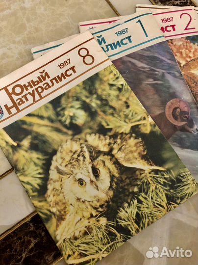 Журналы Юный Натуралист 1987 г; Шишки-розочки