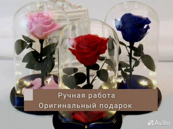 Вечная роза в колбе