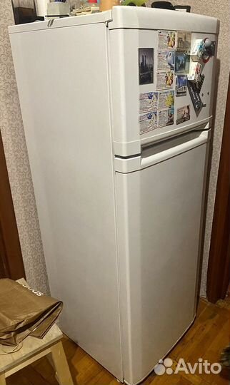 Холодильник Beko DSK25050 (7399310004)
