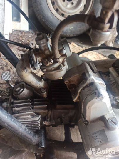 RegalRaptor Чоппер