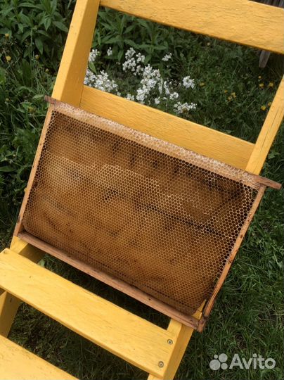 Рамка сушь для пчел