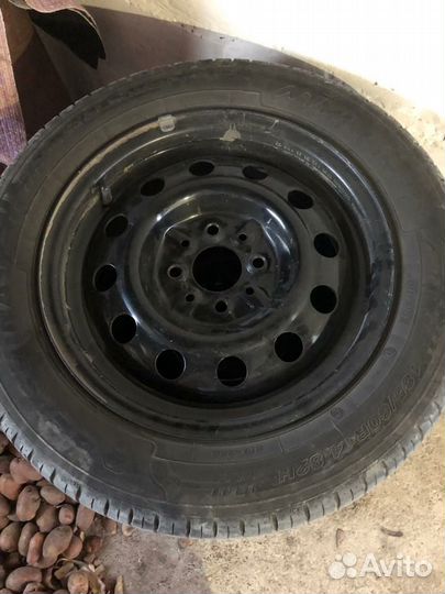 Berlin Summer UHP R14