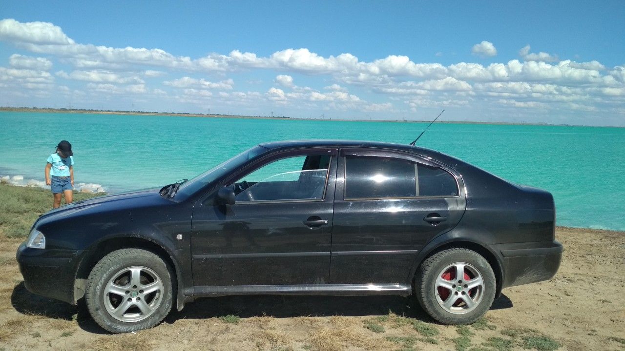 Skoda Octavia: фото владельца