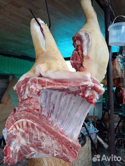 Мясо, свинина домашняя