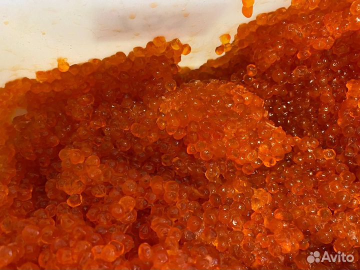 Икра кеты