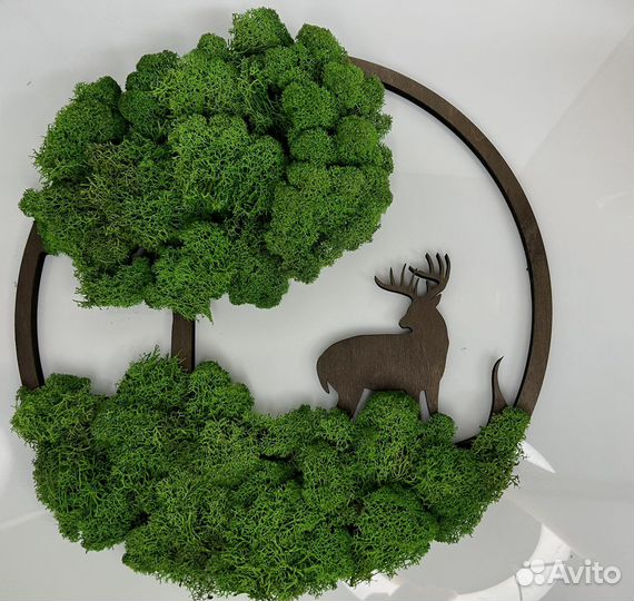 Панно со стабилизированным мхом