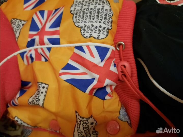 Зимний комбинезон и намордник для маленьких собак