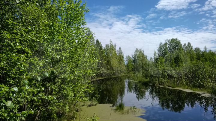 Участок 1,28 га (СНТ, ДНП)