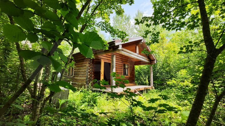 Дача 48 м² на участке 1,5 га