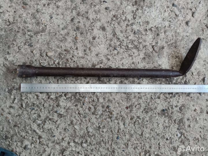 Лапка сапожника