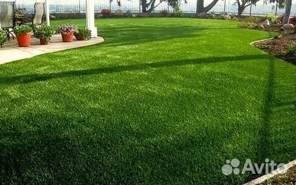 Газон рулонный